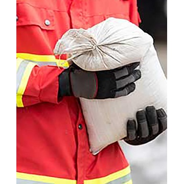 61qfnxt4xel__sl1500_