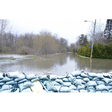 71fx50jzexl__sl1500_